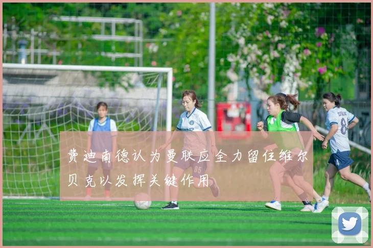 费迪南德认为曼联应全力留住维尔贝克以发挥关键作用