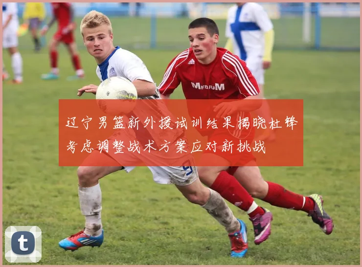 辽宁男篮新外援试训结果揭晓杜锋考虑调整战术方案应对新挑战